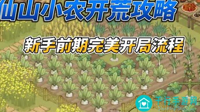 仙山小农浮空岛梅与花：教你轻松提升战力的黄金攻略汇总！