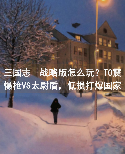 三国志・战略版怎么玩？T0震慑枪VS太尉盾，低损打爆国家队？看完秒懂!