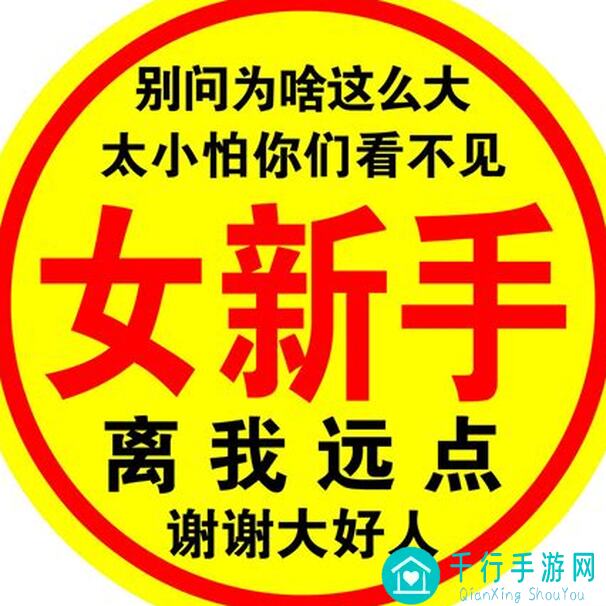 新手如何玩转自在西游？4步技巧助你快速上手!