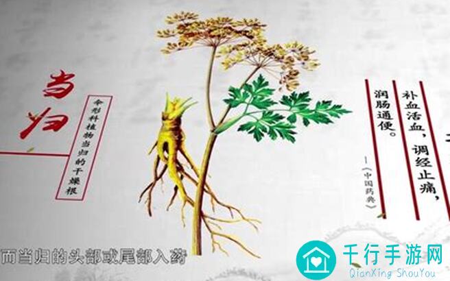 看完这篇全攻略，秒懂本草归元录的精华玩法与攻略