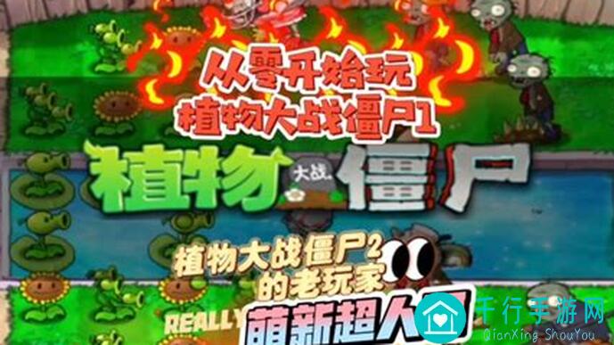植物大战僵尸2零氪萌新开荒第五天，全攻略指南，轻松通关不是梦！