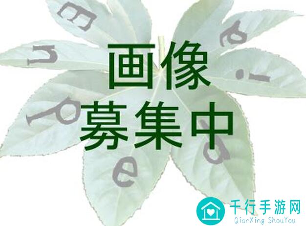 三国战纪2新手必看！神剑如何养成才能秒杀全场？看完秒懂!