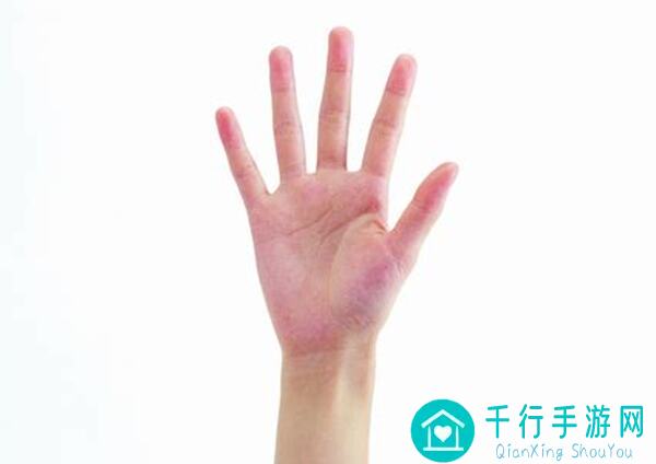手残党福利！零基础玩家必看：崛起：终极王者化境宠物天赋详解攻略