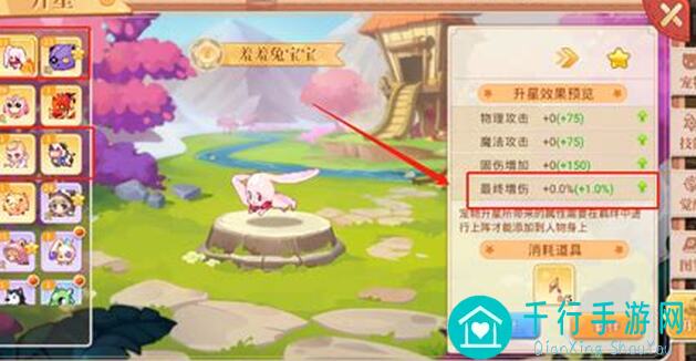 掌握彩虹岛W永恒岛彩虹回忆，揭秘宠物技能书搭配攻略，战力飙升不是梦！